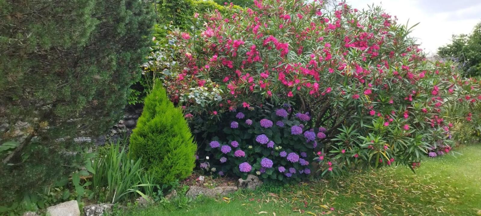 Gite 5 "Le Laurus" Aux Magnolias Aubenas Bagian luar foto