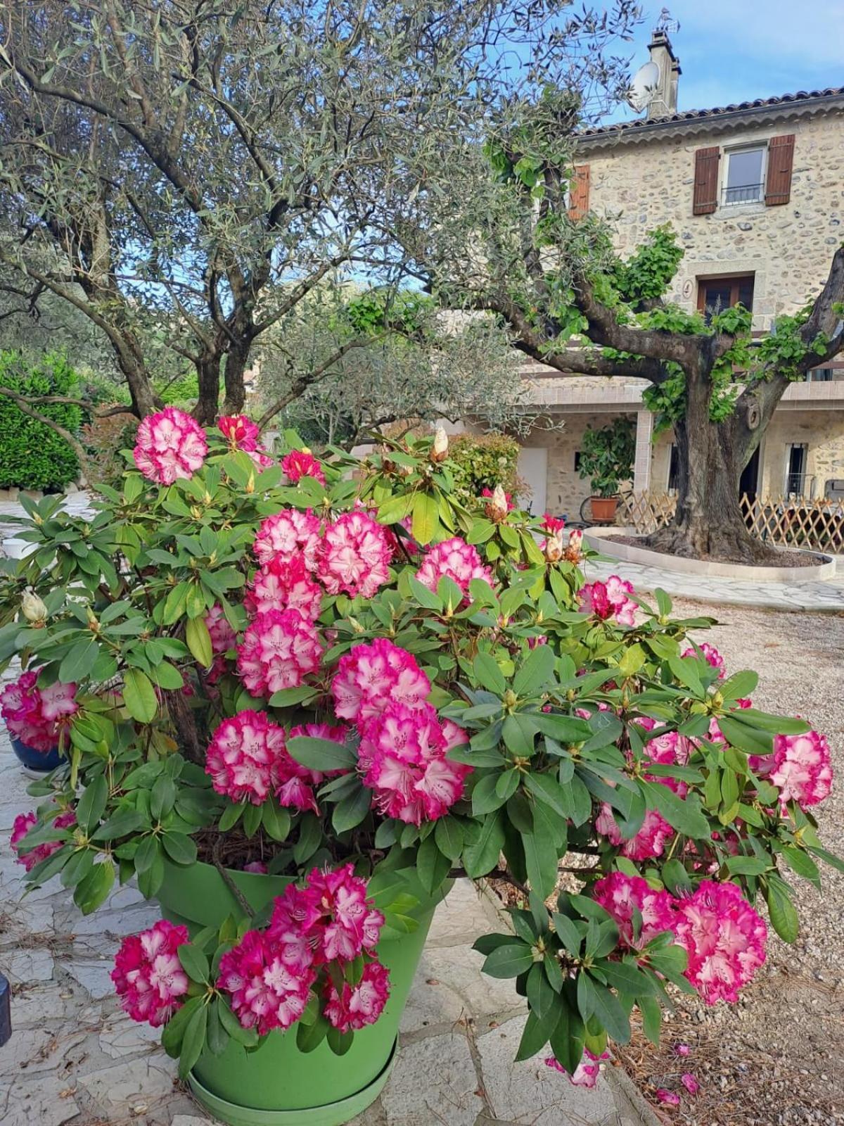 Gite 5 "Le Laurus" Aux Magnolias Aubenas Bagian luar foto